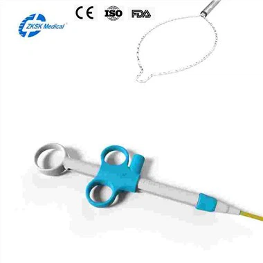 পলিপেক্টমি হট স্নেয়ার